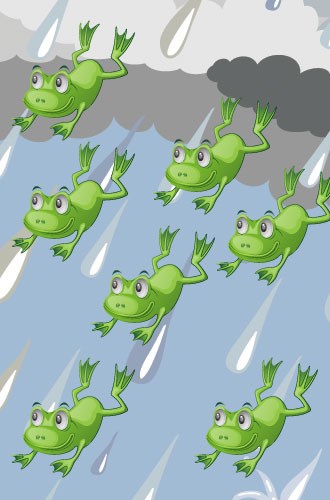 frog_rain.jpg