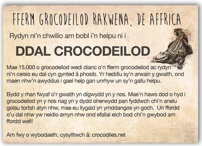 ddal_crocodeil_hysbyseb.jpg