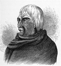 te_rauparaha_199x217.jpg