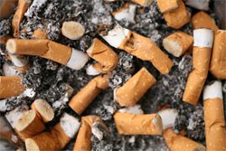 smokio3.jpg