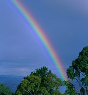 rainbow.jpg