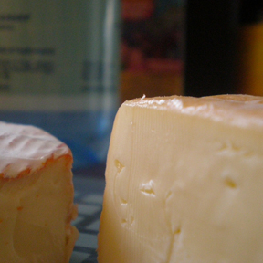 cheese11.jpg