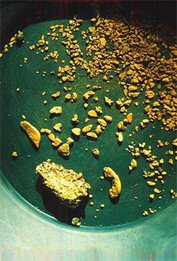 e2_1 (2).jpg