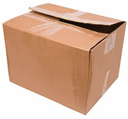 c1_1 (2).jpg