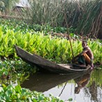 6009626-floating-garden.jpg