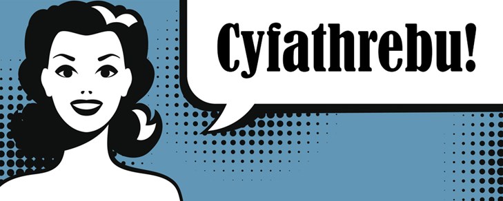 Rhifyn 14 - Cyfathrebu