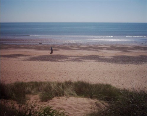 image1top_497x395.jpg