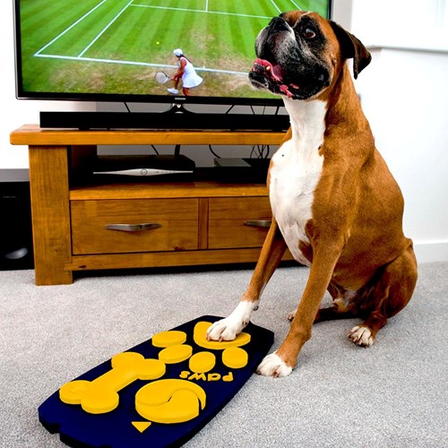 Dog remote